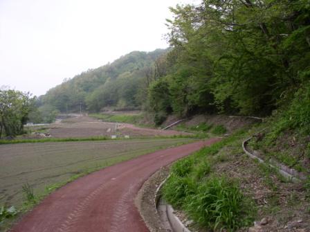 大深沢川遊歩道