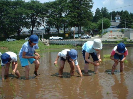旧津金学校