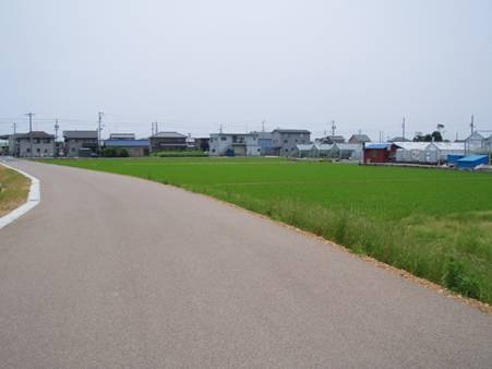 小鳥の回廊鎮守回生森の道