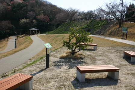 みかんの里農村公園