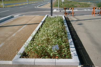 沖通り田園散策道