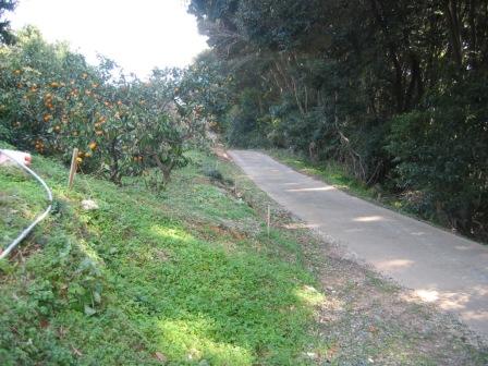 井の国里山散策道