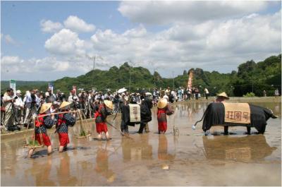 田染荘「御田植祭」
