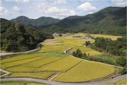 田園空間博物館「八幡荘園の郷」