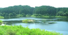 六ヶ村堤