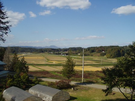 小原樗山