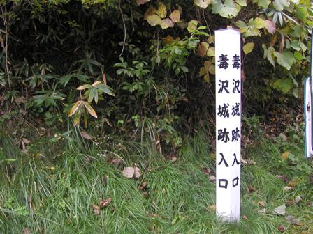 毒沢城跡