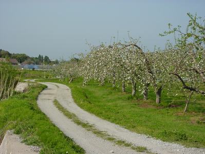 鷲足栩田線（旧東海道）