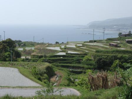中芸東部