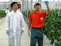 7月14日 農家住宅モデル地区及び大規模園芸施設等の現地視察