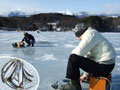 農林水産物の旬：わかさぎ釣り