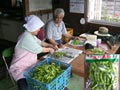 農林水産物の旬：枝豆の出荷