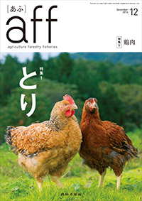 aff(あふ)2016年12月号表紙