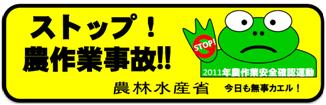 運動カエル