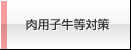 肉用子牛等対策