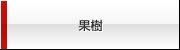 果樹