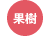 果樹