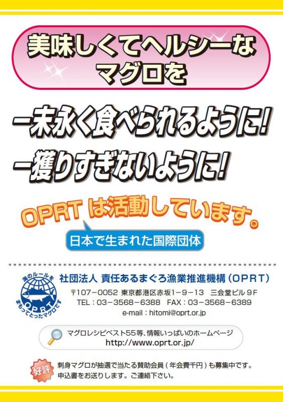 チラシ3