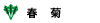 春菊