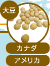 大豆:カナダ、アメリカ
