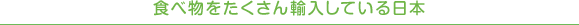 食べ物をたくさん輸入している日本