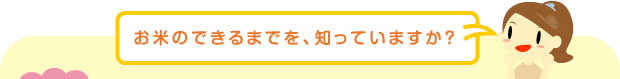 お米のできるまでを、知っていますか?