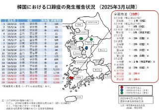 250414韓国FMD