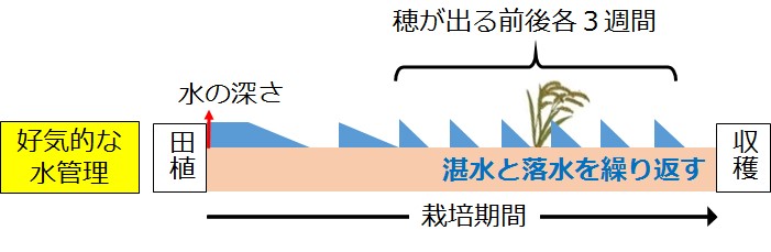 iAsFig2