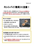 キンシバイ（巻貝）の注意喚起に関するPDFファイル