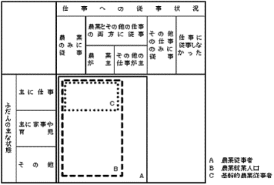 世帯員の就業状態区分