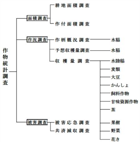 調査体系