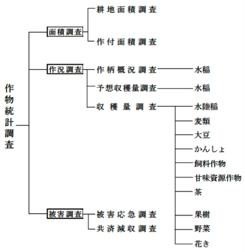 調査体系