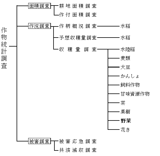調査体系