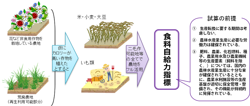 食料自給力の考え方
