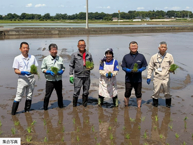 フォトレポート_筑西市有機試験栽培に係る苗の定植会(5月11日).gif
