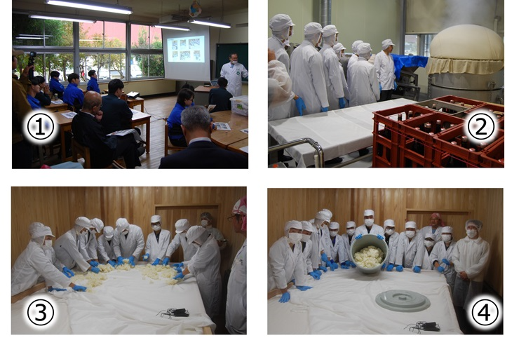 日本酒の仕込み