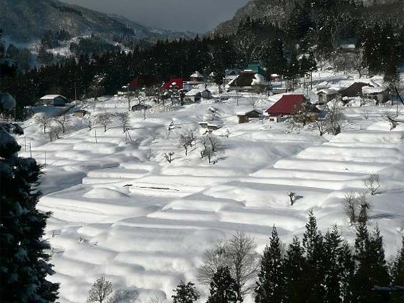 小谷村雪化粧の田園風景
