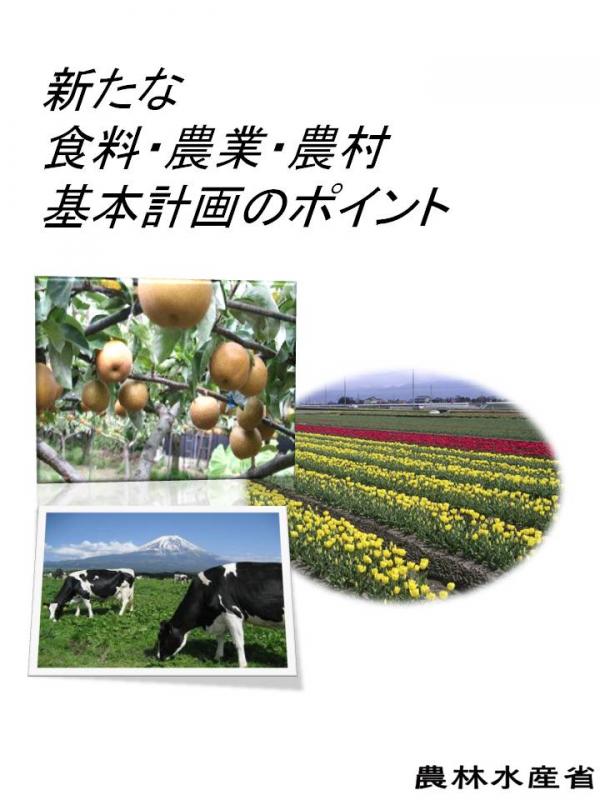 syousaiatama