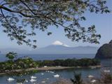 戸田湾を弓状に取り囲む御浜岬