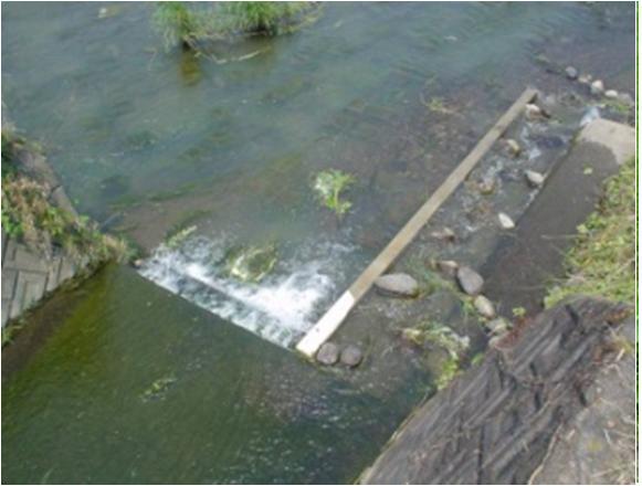 粗石付き魚道