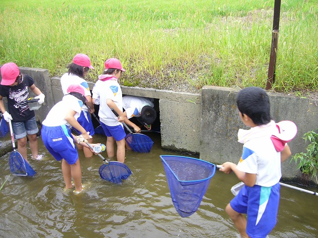 水路内の調査風景１