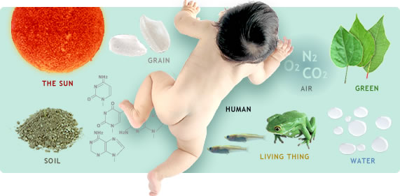 「農」ってなーに？！―― 農を科学してみよう！