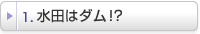 水田はダム!?