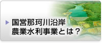 国営那珂川沿岸農業水利事業とは？