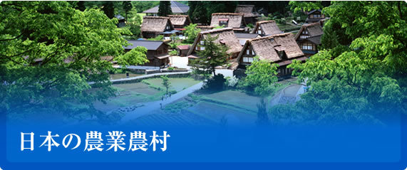日本の農業農村