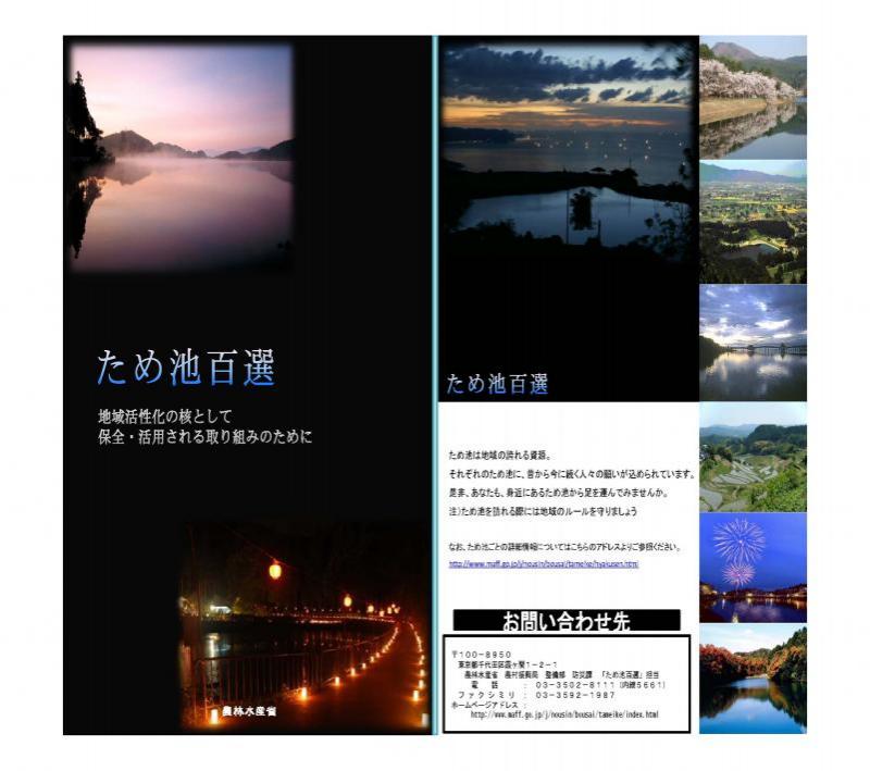 tameikehyakusen_pamph