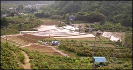 北山の棚田