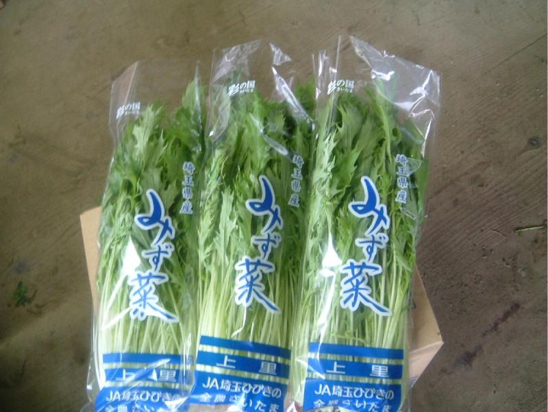 JA埼玉ひびきの上里町部会のみず菜