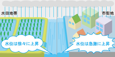 洪水防止機能調査報告