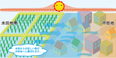 気候緩和機能調査報告